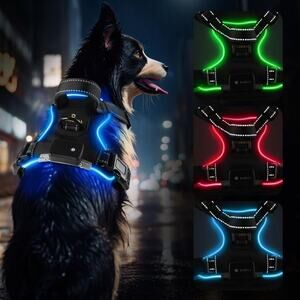 LIGHT UP DOG‎ HARNESS LED NO PULL DOG SIZE XS